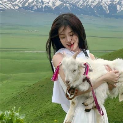 麒麟特战队之机甲核心